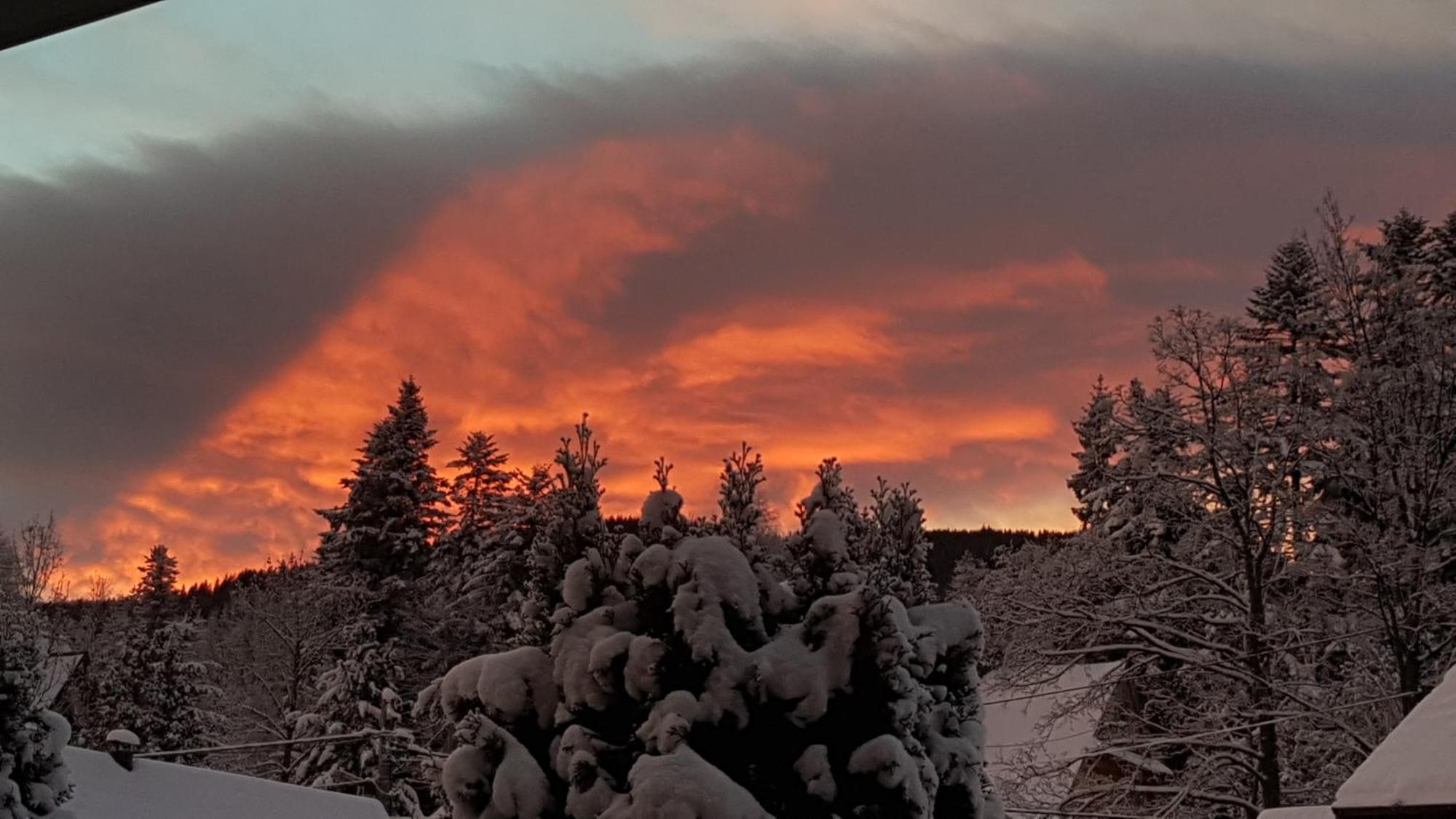 Pokoje Apartamenty Pod Limbą Zakopane Exteriér fotografie