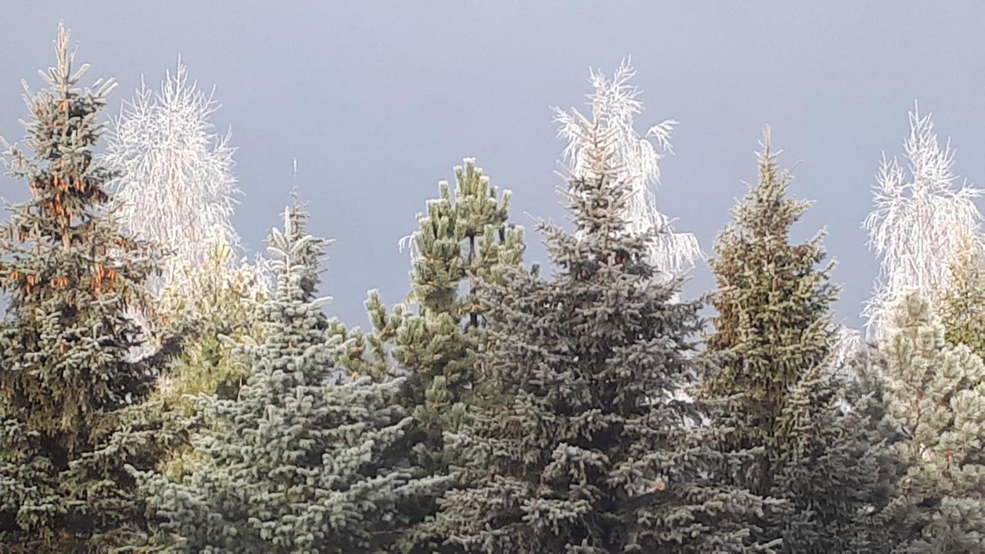 Pokoje Apartamenty Pod Limbą Zakopane Exteriér fotografie