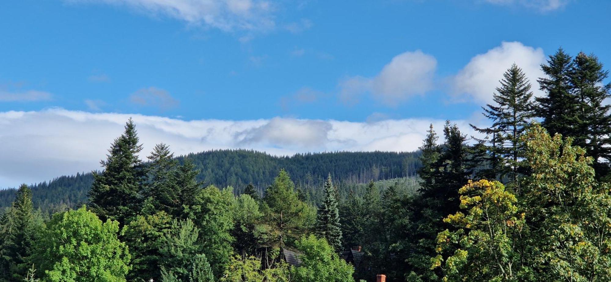 Pokoje Apartamenty Pod Limbą Zakopane Exteriér fotografie